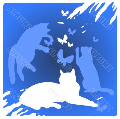 cats and butterflies