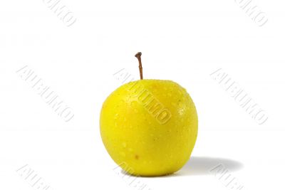 freshness yellow apple