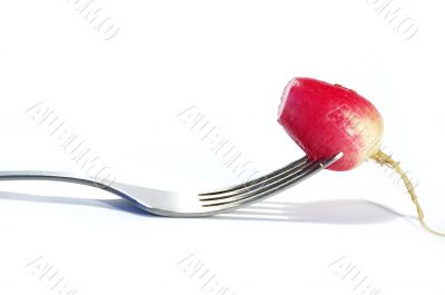 Fork and radish isolated