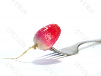 Fork and radish