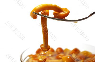 Mushroom in marinade on a plug isolated