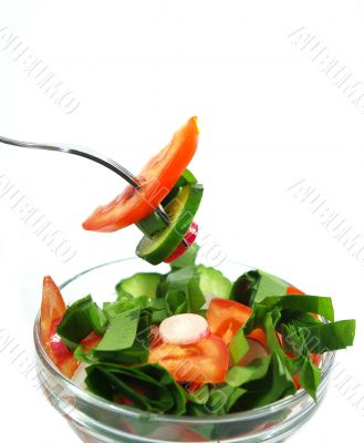 Spring salad isolated