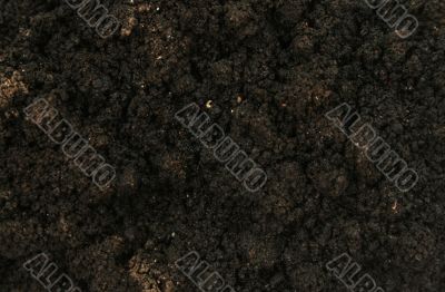 Texture of asphalt