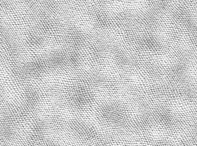 Grey reptile skin