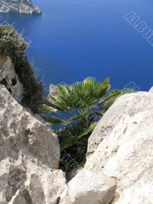 mallorca spain