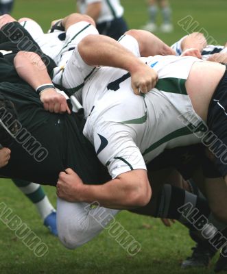 rugby