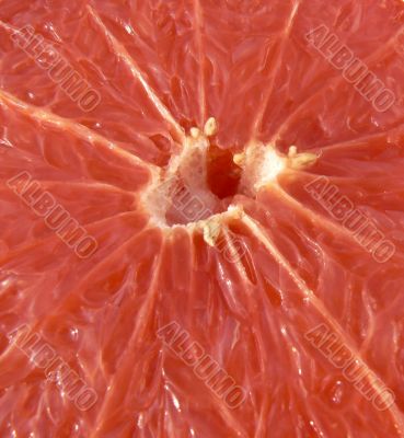 red grapefruit background