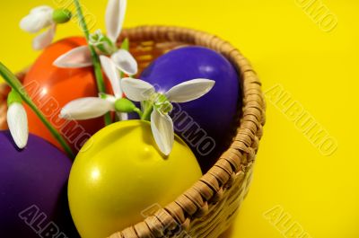 Easter basket with snowdrops  and eggs