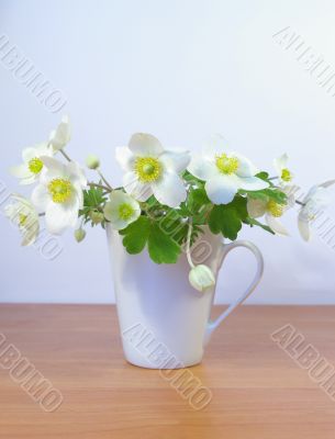 Flowers in a white cup