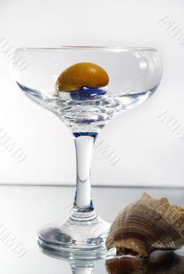 snail in transparent glass