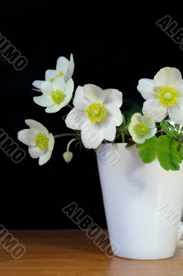 Bouquet of spring flowers in a cup