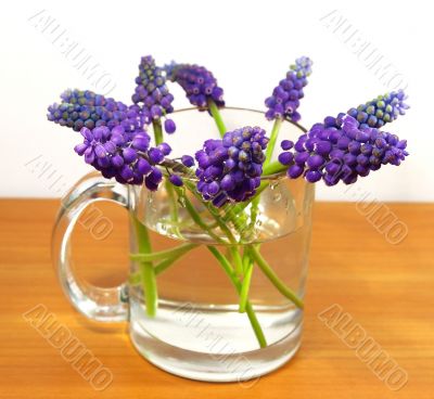 Bouquet of flowers in a transparent cup
