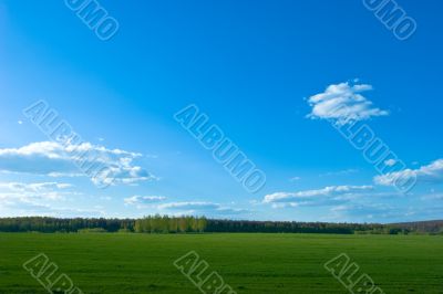 Green field landscape