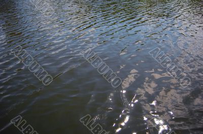 river water