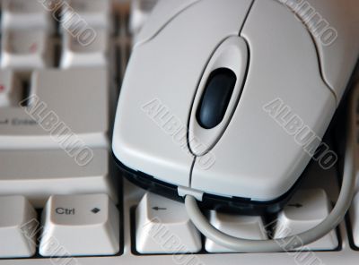 mouse 1
