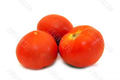 Three juicy tomatos
