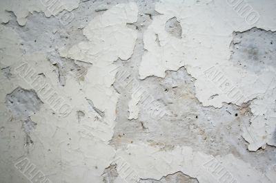 Very old painted white wall