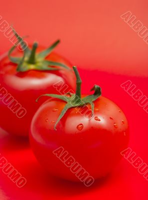 Tomato