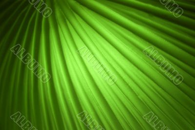 Green Background