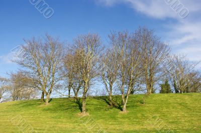 Park