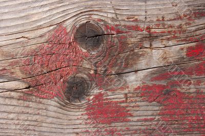 Wood