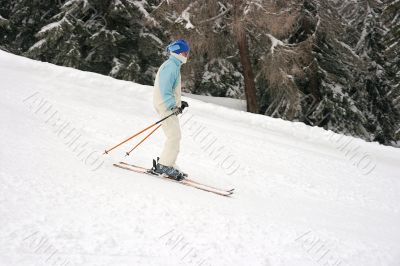 Skier