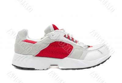 Shoe