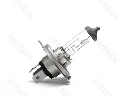 Bulb