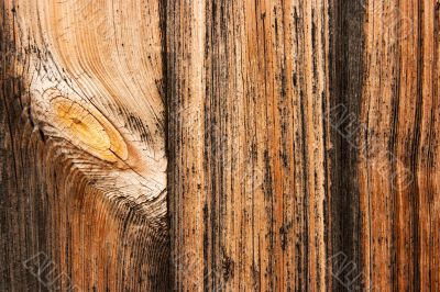 Wood