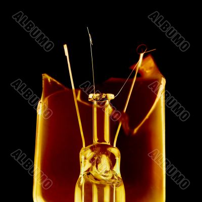Bulb
