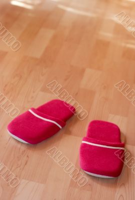 Slippers