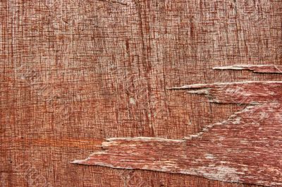 Wood