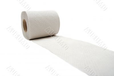 Toilet paper