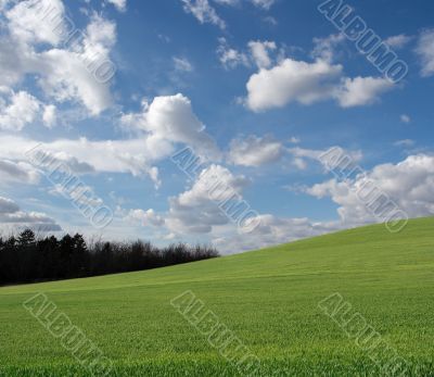Field