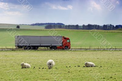 Truck