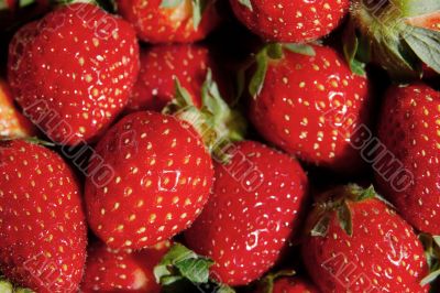 Strawberries