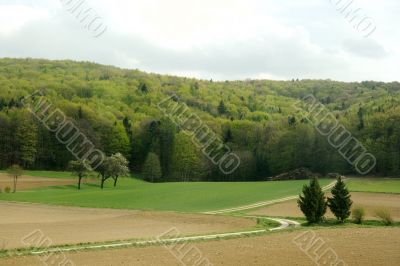 Landscape