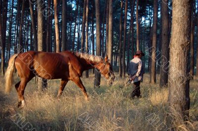 Cowboy with a horse