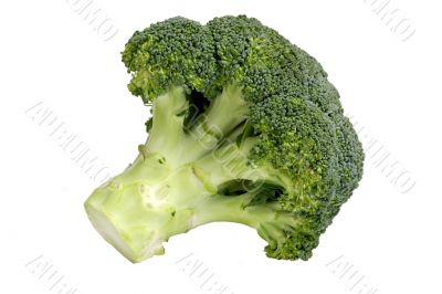 Close-up of broccoli