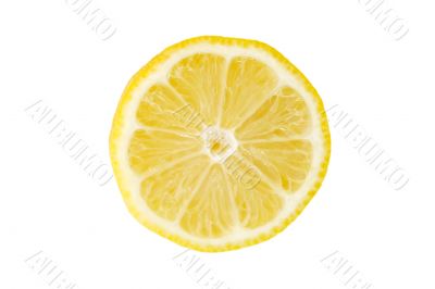 Lemon Slice