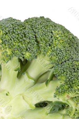 Broccoli Close-Up