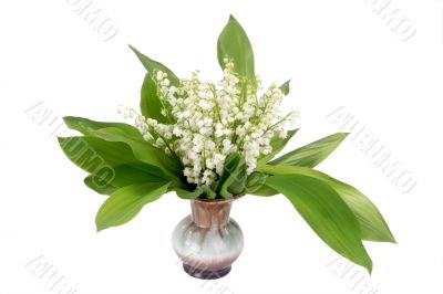 Bouquet of mayflowers