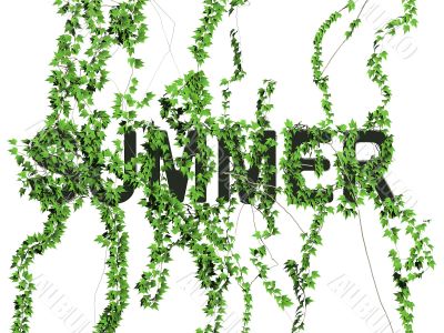 summer logo
