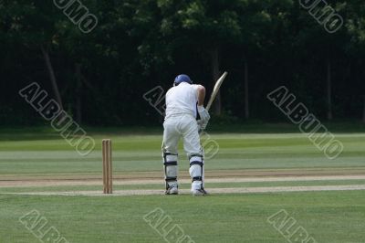 cricket batsman