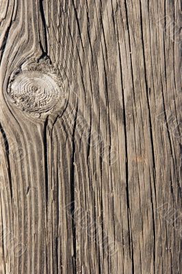 Wood