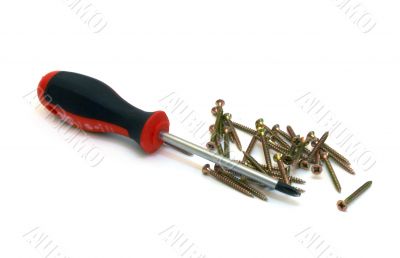 Screwdriver and screws