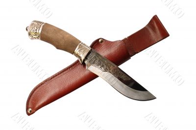 bowie-knife