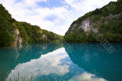 A lake in the forest