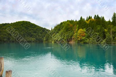 A lake in the forest