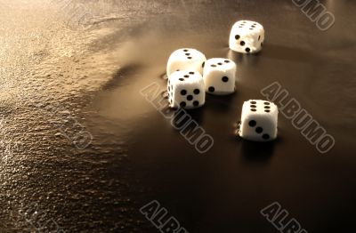 Gambling with dice